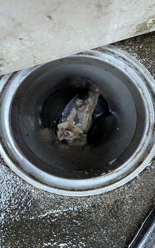 詰まりが起きた排水桝の内部